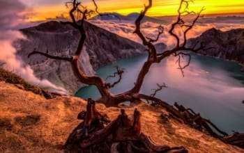 Open Trip Baluran Ijen Crater Blue Fire 2D1N