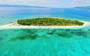 Red Island 2D1N Deer Tour