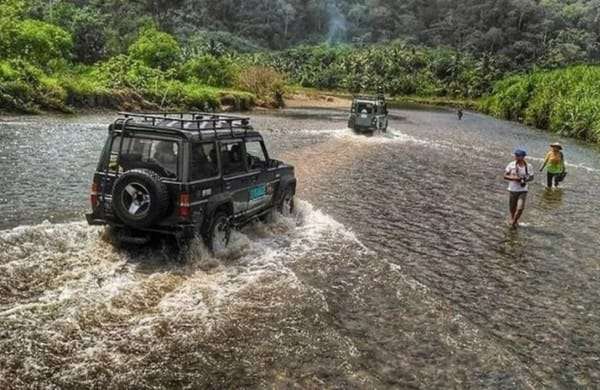 3-Day Package: Ijen Trekking, Meru Betiri Jeep Safari, & Djawatan LOTR-style Jungle Exploration!