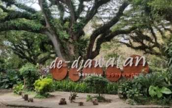 Open Trip to Baluran, Djawatan, and Red Island Beach