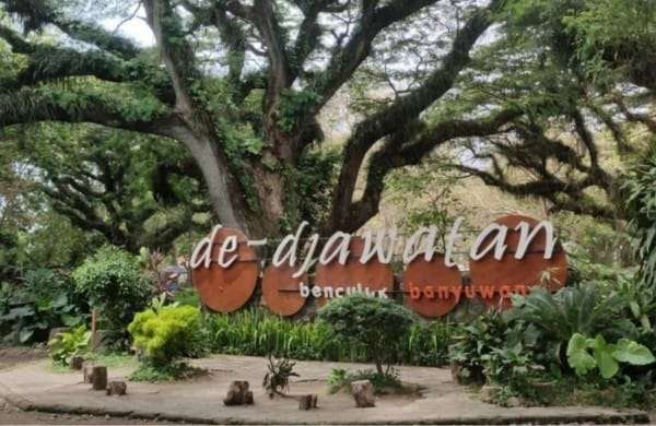 Open Trip to Baluran, Djawatan, and Red Island Beach